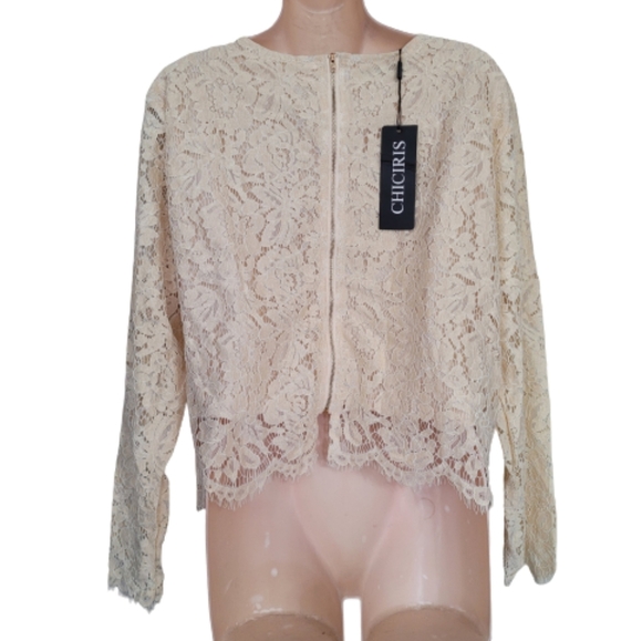 Chiciris Beige Short Sleeve Sexy Sheer Mesh Lace Crop Top Blouse Size Women 2X - Picture 5 of 11